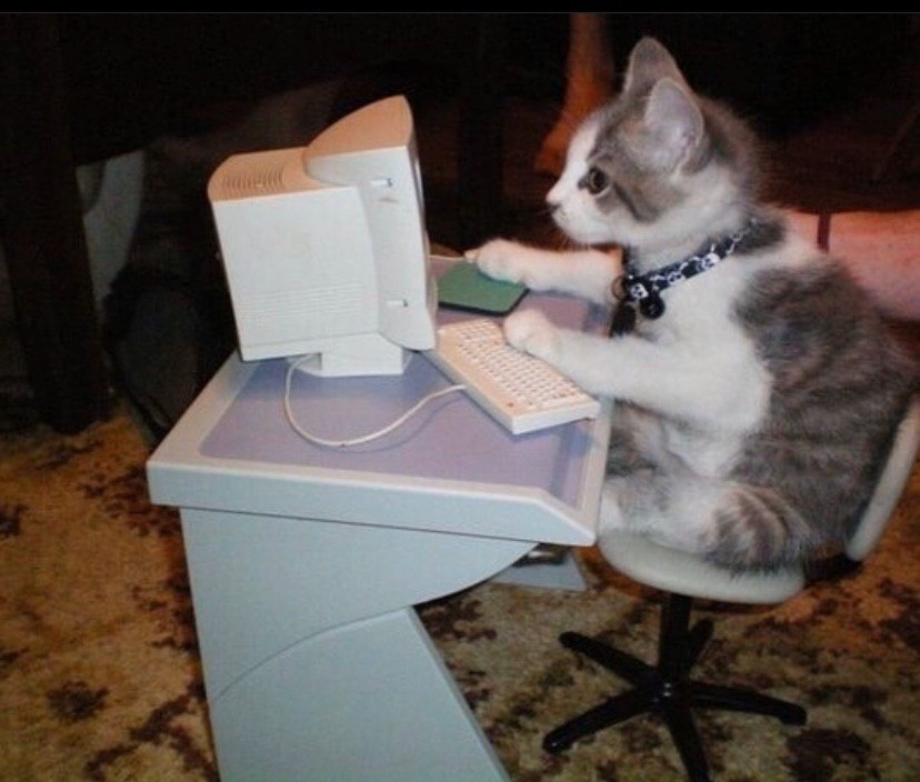"a small kitten sitting at a tiny desk looking on a tiny computer"
